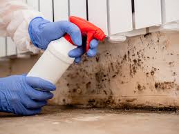 Best Environmental Consulting for Mold Prevention in West Hill, OH